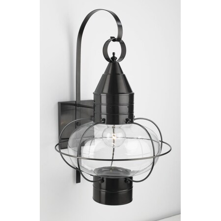 Norwell Lighting 1509 Classic Onion Single Light 24" Tall Outdoor Wall Sconce wi, Bronze with Clear Glass